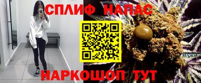 сатива Кимры
