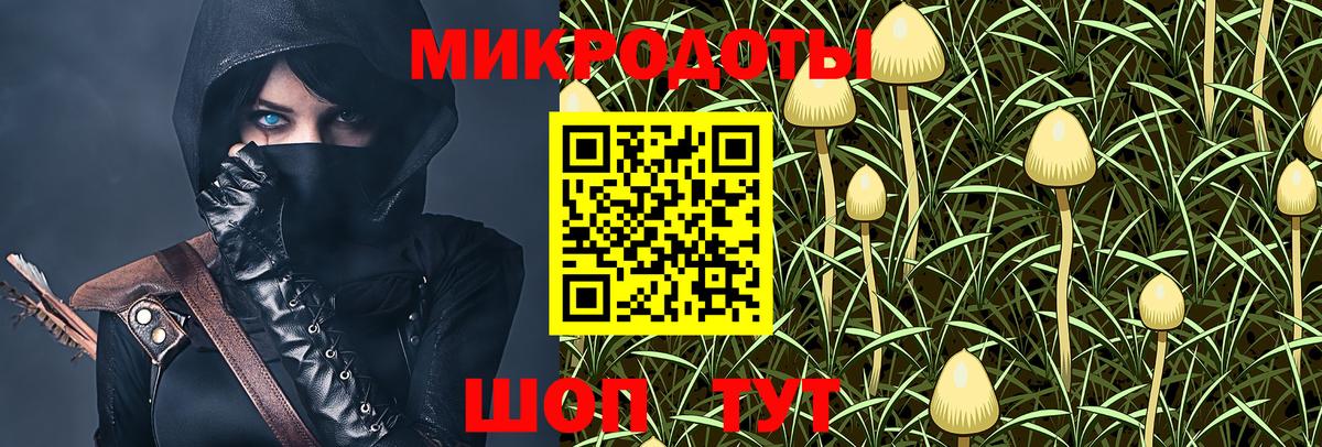 Галлюциногенные грибы Magic Shrooms Кингисепп