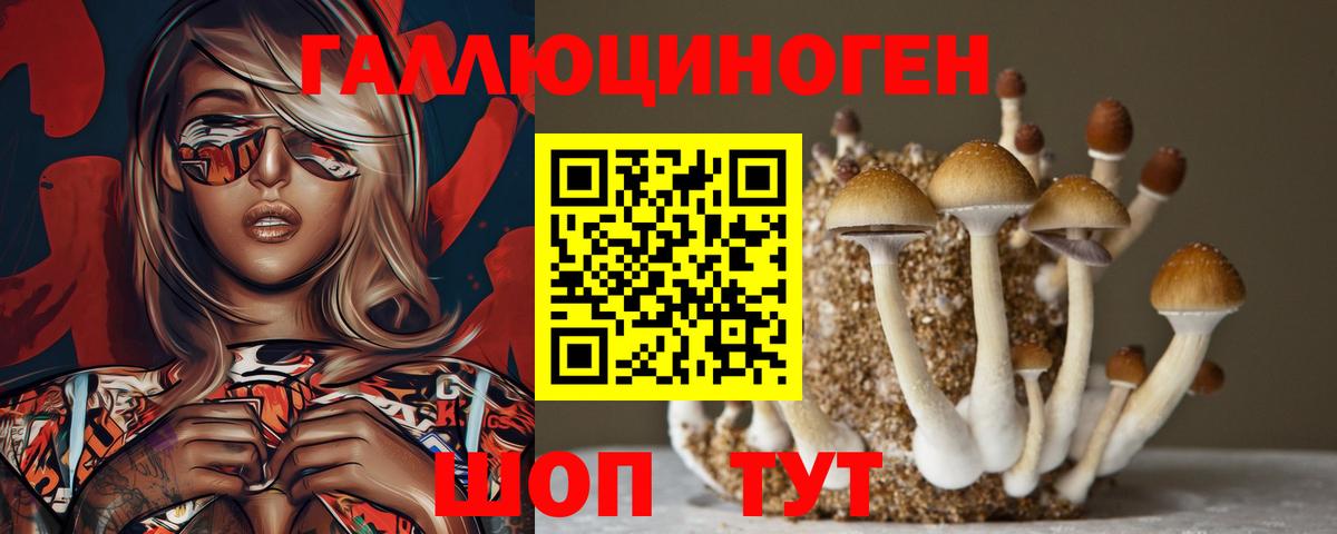Кингисепп  Галлюциногенные грибы Cubensis  Вход с VPN 